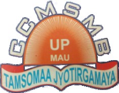 City Montessori School